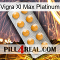 Vigra Xl Max Platinum levitra1